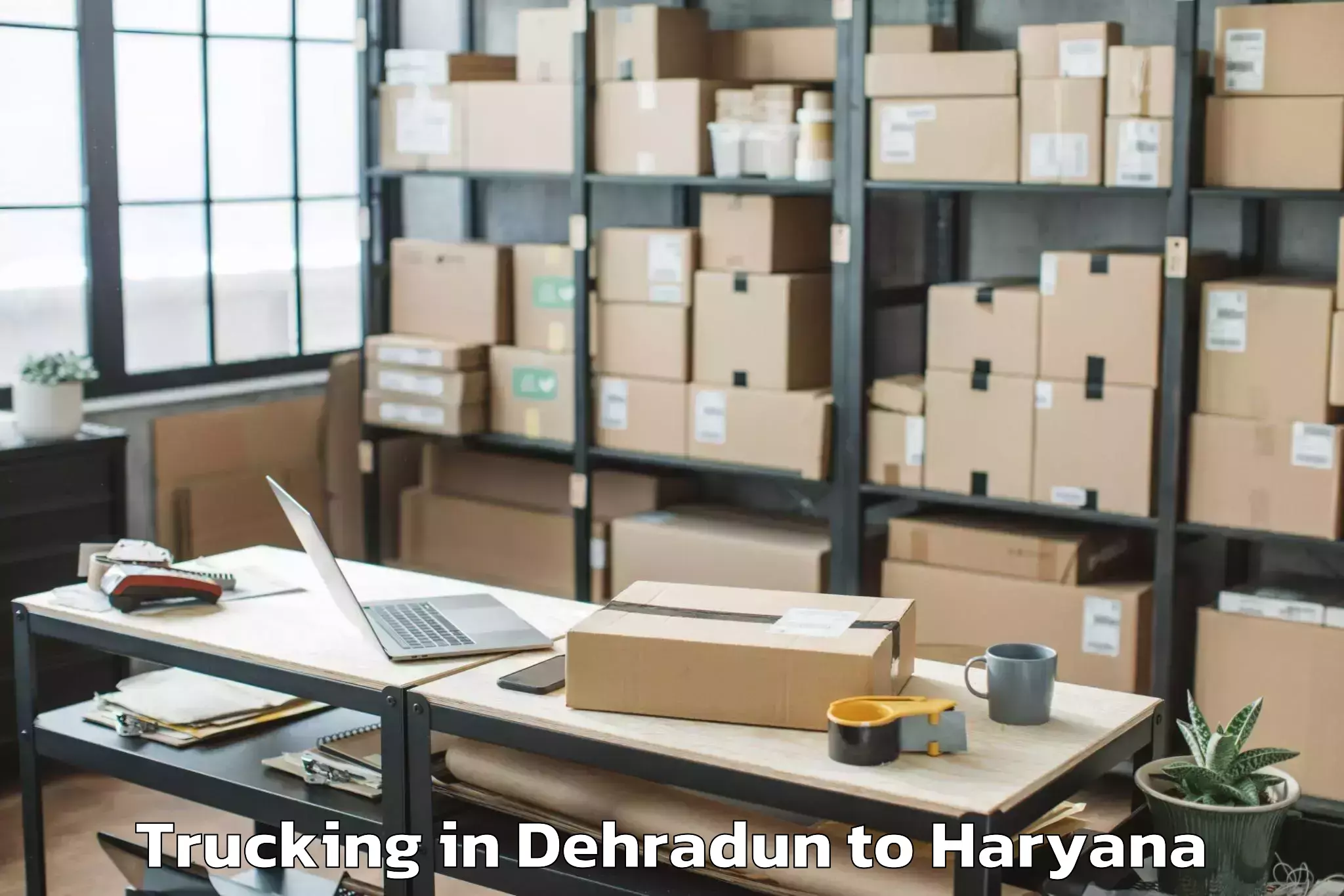 Professional Dehradun to Lingayas University Faridabad Trucking